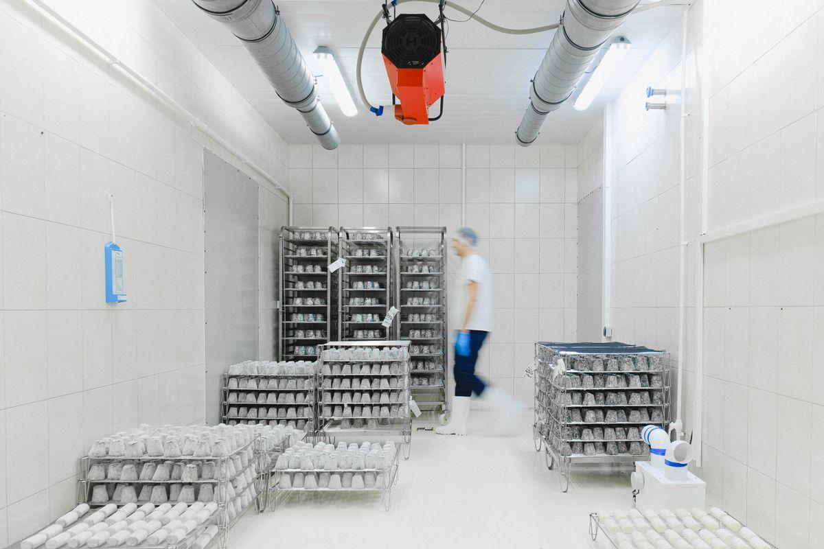 Cold chain & post-harvest