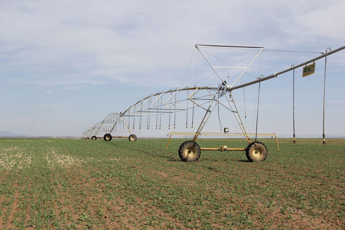 EarthSense on-field agricultural monitoring station